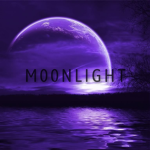 M 0 0 N L I G H T