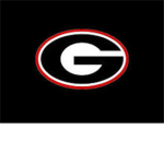 Georgia Bulldogs Hockey