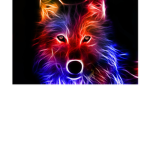 rainbow wolf is cool