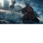 The Samurai's And Ninja's