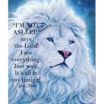 Lions of the Lord
