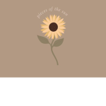 The flower fan group