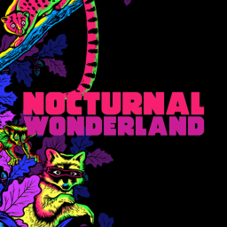 Nocturnal Wonderland 2017