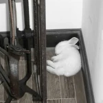 #socute Group Thumbnail