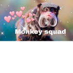 Simply Monkey fan group