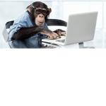 Smart Monkeys