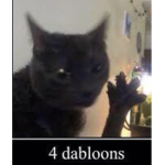 IZZY AND THE cats