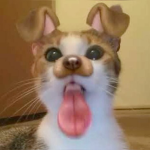 liltoogans