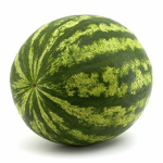 Watermelonburger Clothing