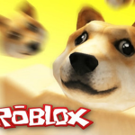DOGE PROCREW