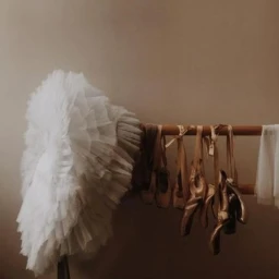  𝓲𝓼 𝓽𝓱𝓮 icon