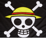 The onepiece.