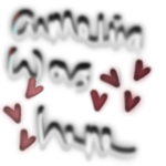 T1R3D