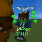 The Mega Stans #####