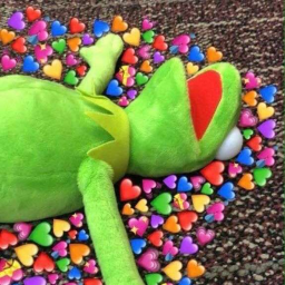 ✨