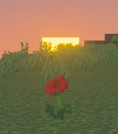 Lavendelblossom