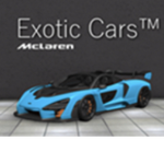 EXOTIC CARS REBORN EXECUTIVES