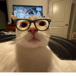 Mojojojo_12