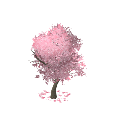 🌙 Japanese Sakura Cherry Blossom Tree Nature Sa