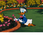 Its.olice