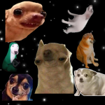 The doggy dog