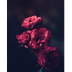 am_not