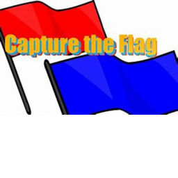 Capture the flag!
