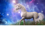 ~Dreams~matter~
