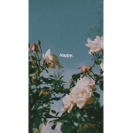 ... a e s t h e t e ...