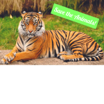 Stop poaching