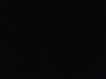 تيم بلًًاًًكًً / Team black
