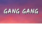 The gang gang yo