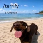$ Clean Group Thumbnail