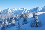 snow flake studios