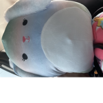 Sunshine squishmellow