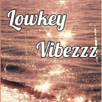 ※lowkey vibeeez※