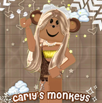 carly’s monkeys!!