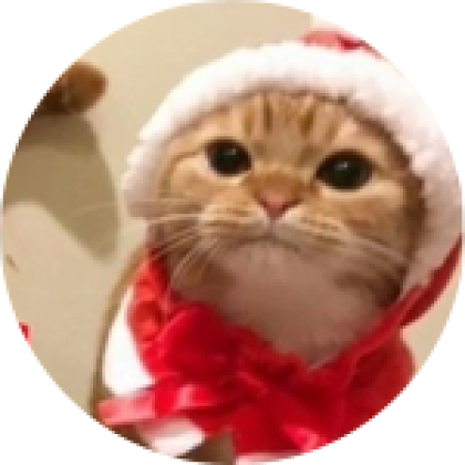 MERRY CHRISTMAS - Roblox