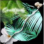 Da coconut family <3