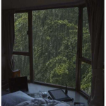 •~Rain~•