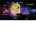 DOGE IS COOL FAN CLUB NEW