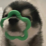 ᴄ1ᴇʀʙʏ