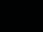 Gutstif