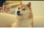 doggo_pan army