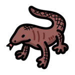 Da Komodo Dragons