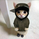 Da hoodie frenz
