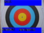r.c.s.t  air force