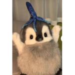 penguin123457