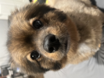 Hypers official group