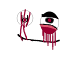 THE INSANITY ORGANIZATION